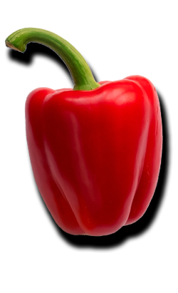 Restoran Đerdan - Gradiška